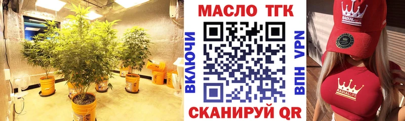 Купить где  Клинцы  ТГК жижа 