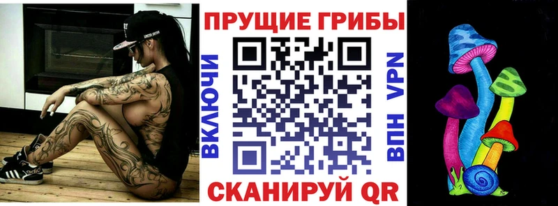Галлюциногенные грибы Psilocybe  Купить закладки  Клинцы 